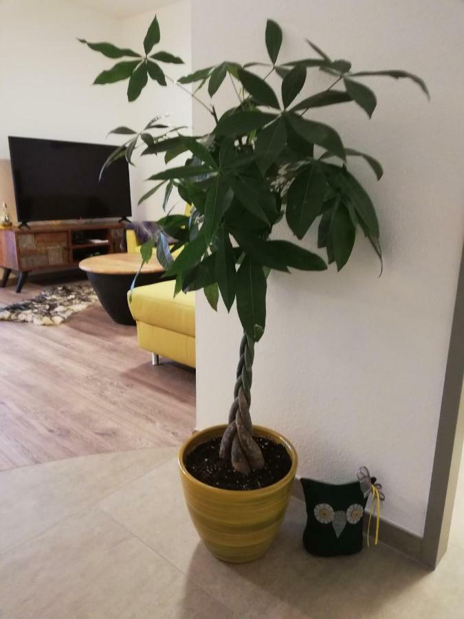 Schmaranzer Lägenhet Bad Ischl Exteriör bild
