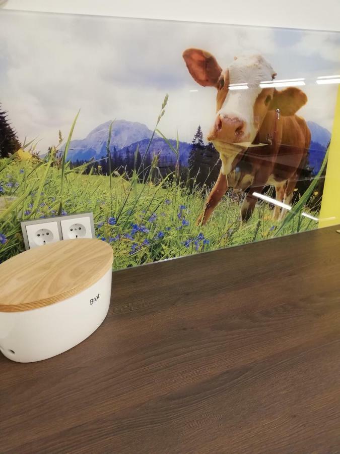 Schmaranzer Lägenhet Bad Ischl Exteriör bild