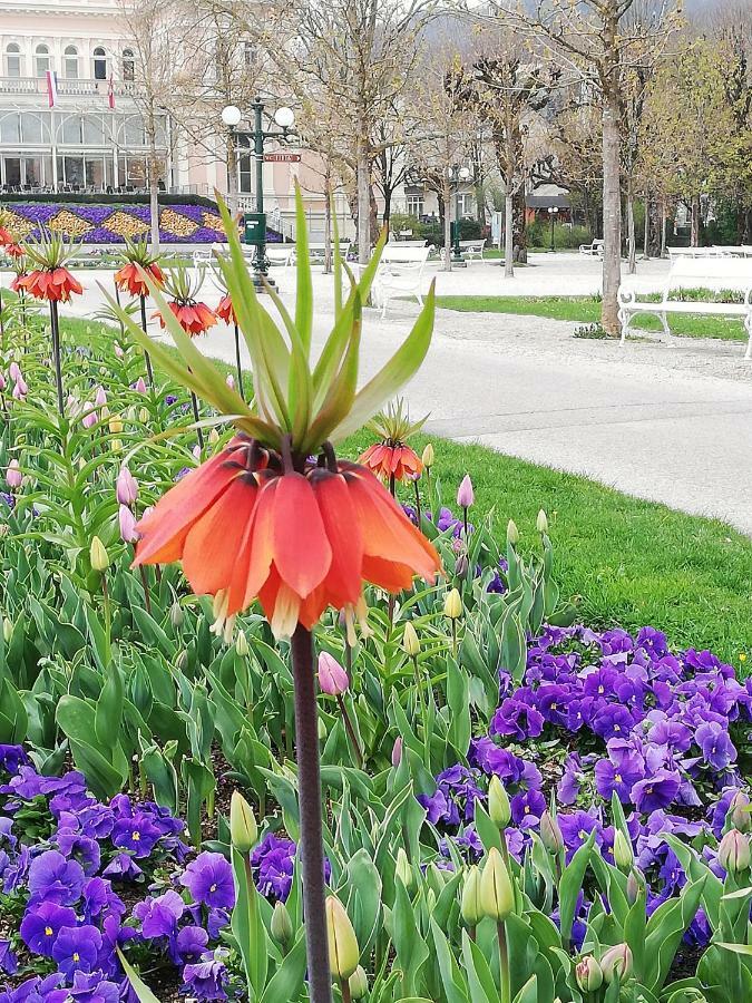 Schmaranzer Lägenhet Bad Ischl Exteriör bild